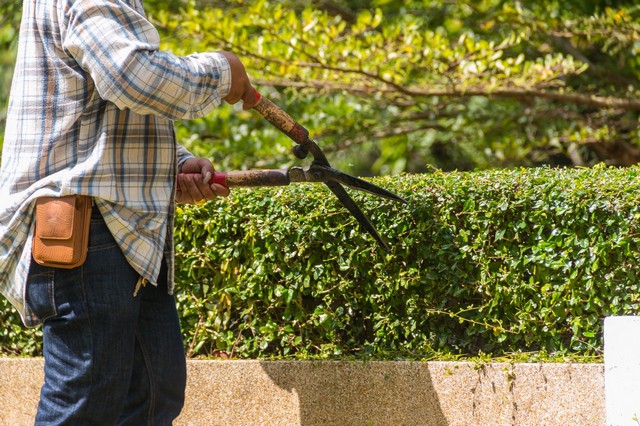 Garden Maintenance Leytonstone, E11